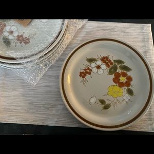 Dinner Plates with Flower Designs